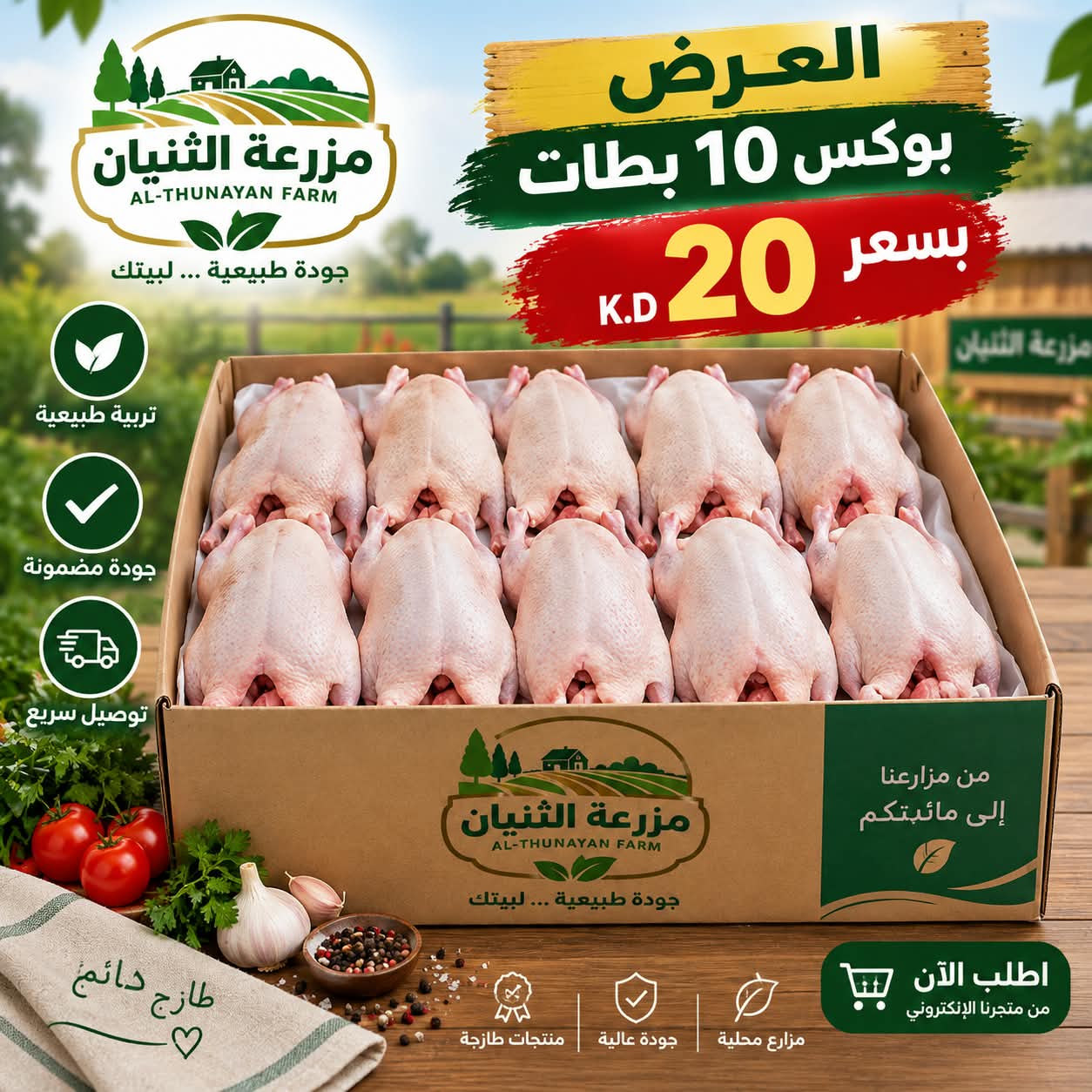 Box of 10 ducks